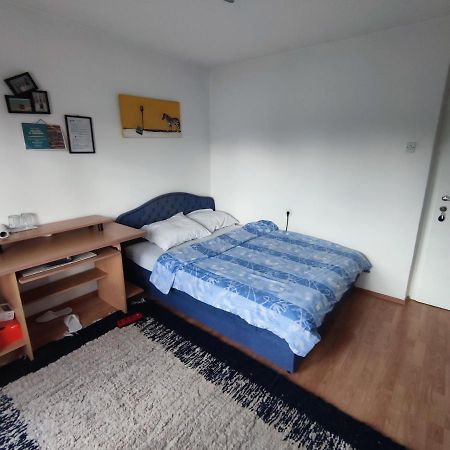 Cozy Room With A Balcony サラエヴォ エクステリア 写真
